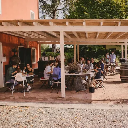 Fattoria Sardi Lucca