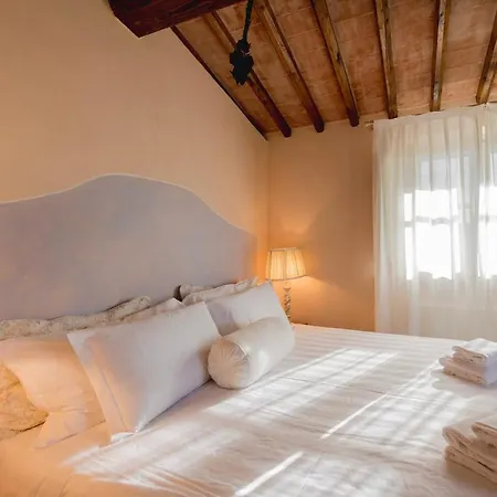 Fattoria Sardi Lucca