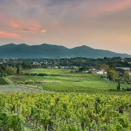 Fattoria Sardi *