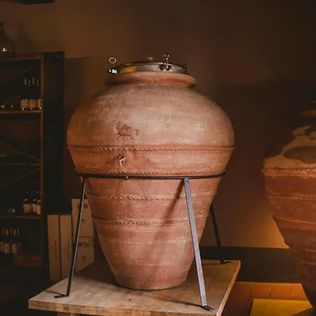 בית חווה Fattoria Sardi לוקה