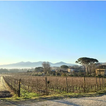 Fattoria Sardi Feriegård Lucca